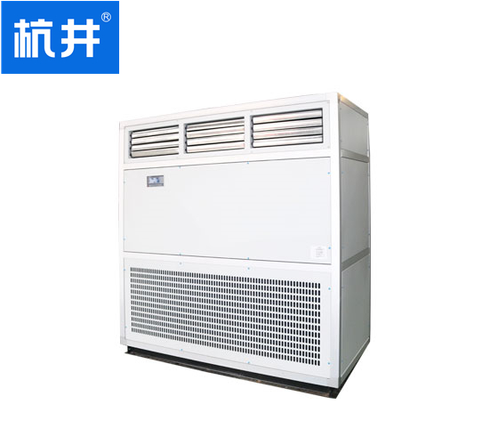 立柜式恒温恒湿机组